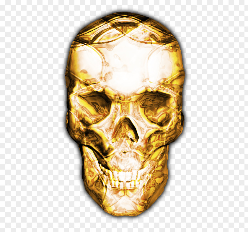 Skull Crystal Human Skeleton Jaw PNG