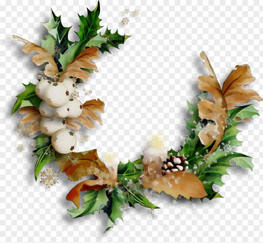 Vegetarian Food Holly PNG