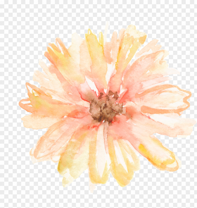 Watercolour Flower Watercolor Painting Headband Floral Design PNG
