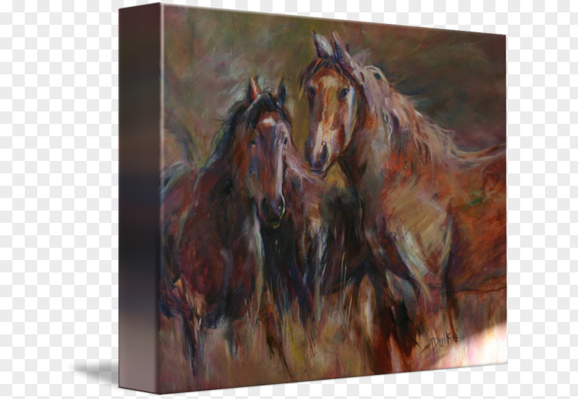 Wild Horse Mustang Watercolor Painting Stallion Mare PNG