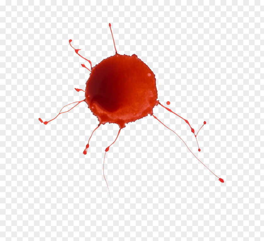 Blood Close-up Organism PNG