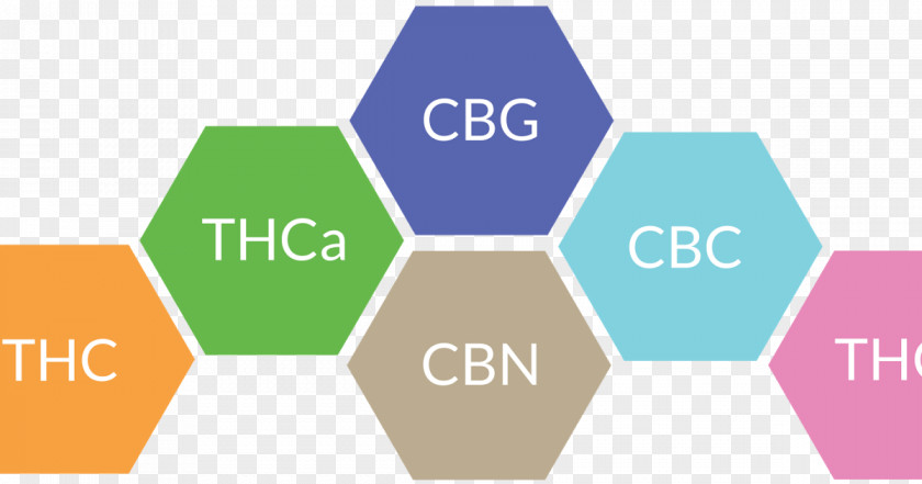 Cannabis Cannabidiol Cannabinoid Cannabichromene Cannabinol PNG