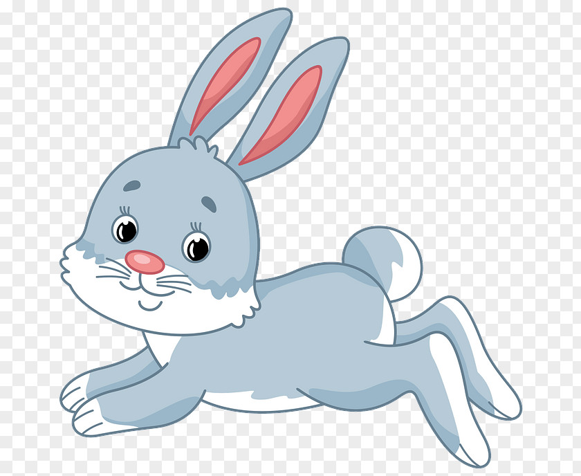 Cartoon Rabbit Rabbits And Hares Nose Hare PNG