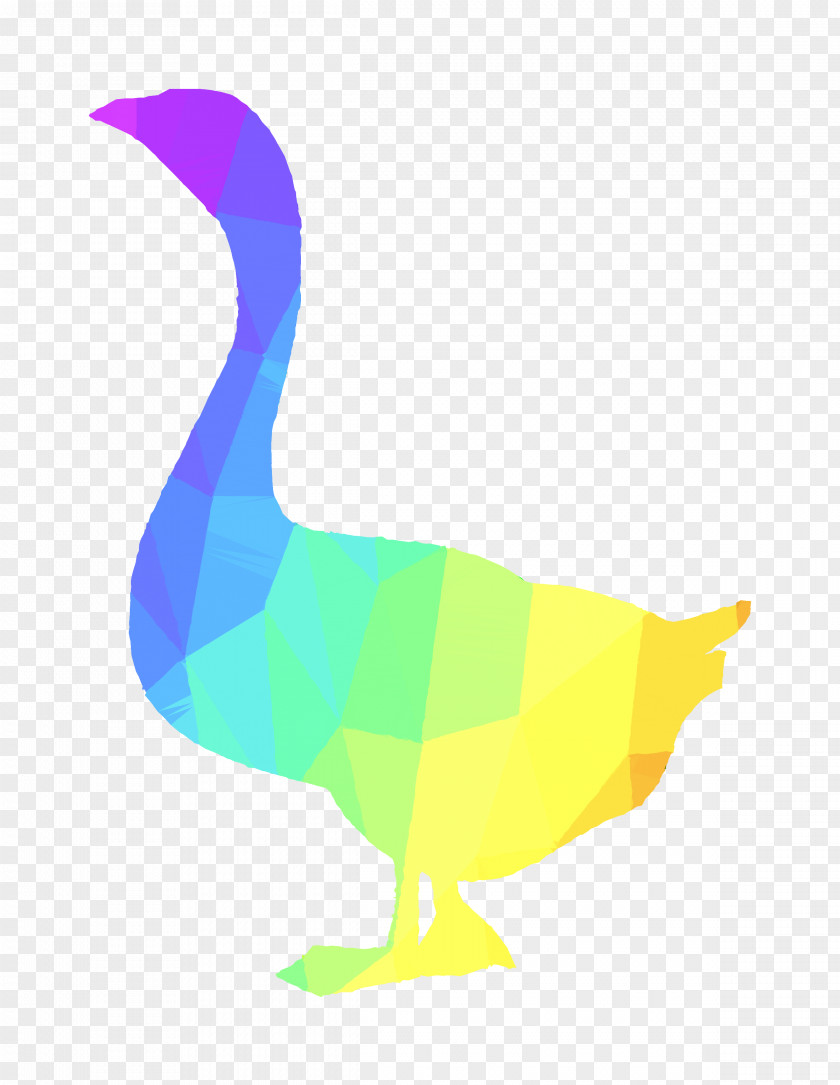 Duck Goose Clip Art Beak Feather PNG