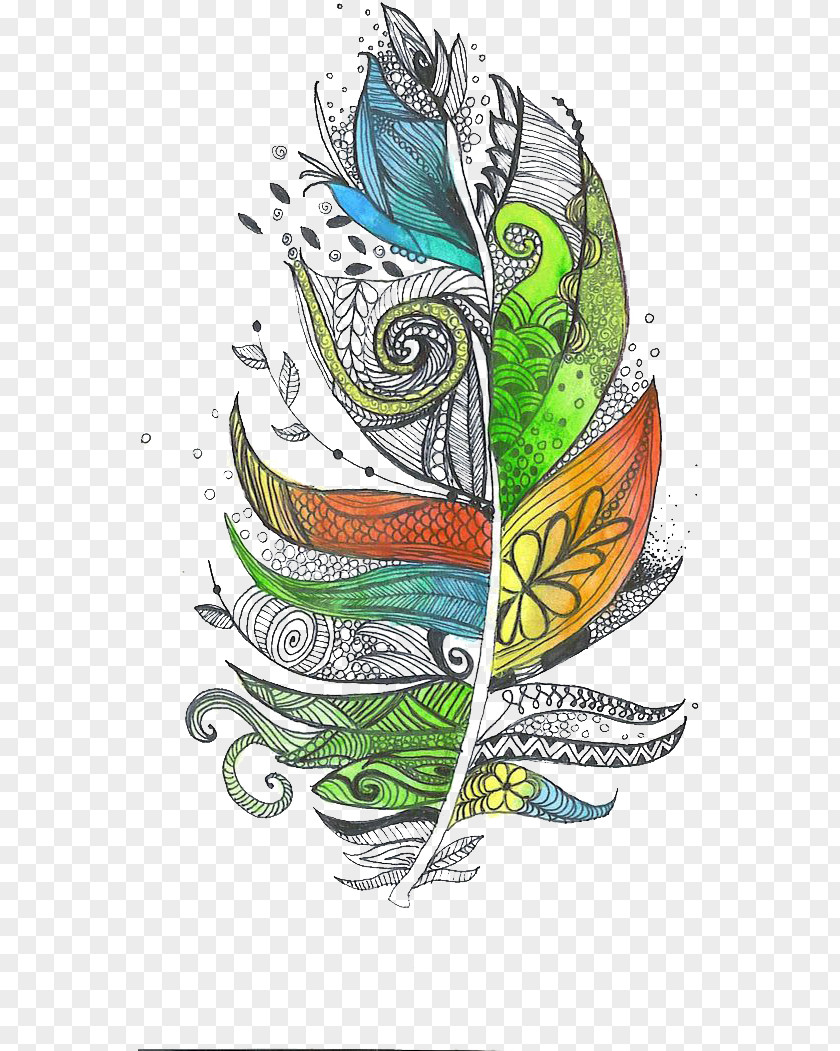 Feather Zentangle The Enchanted Forest Doodle Drawing PNG