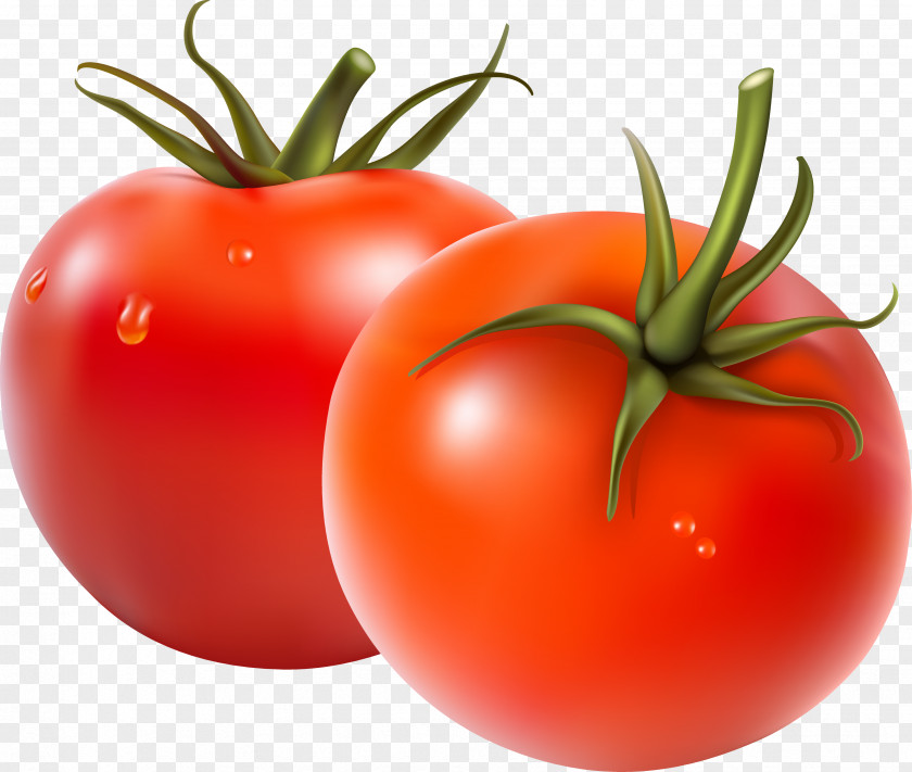 Fresh Tomato Fruit Salad Vegetable PNG
