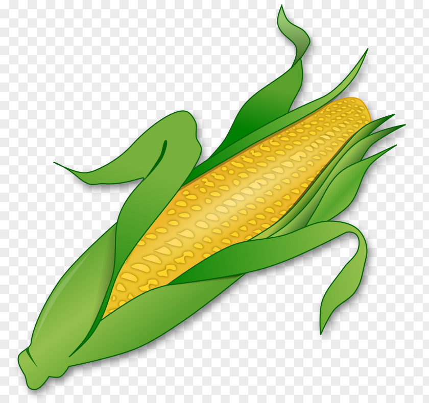 Popcorn Corn On The Cob Corncob Maize Clip Art PNG