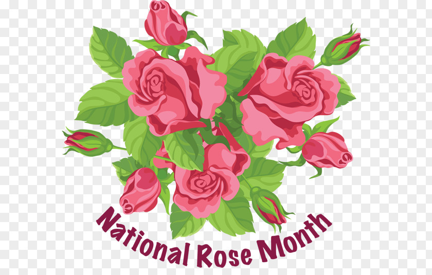 Roses Ornament June 0 Clip Art PNG