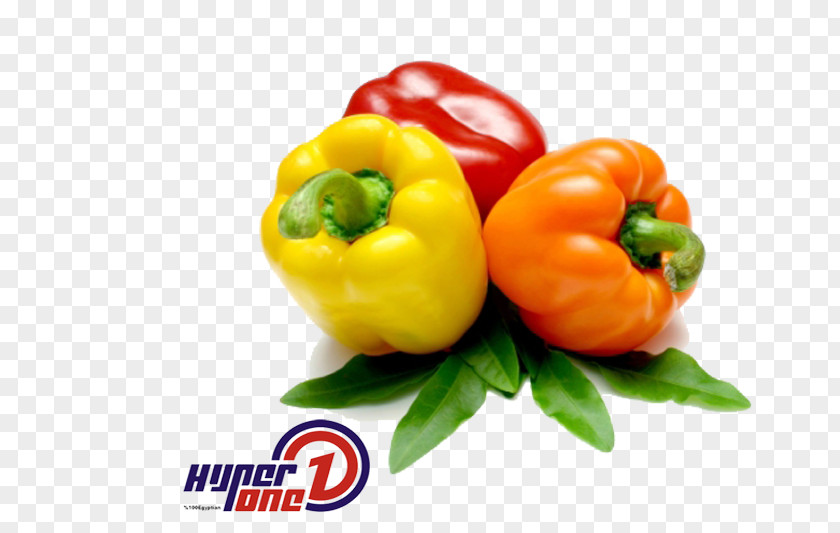 Vegetable Vegetarian Cuisine Bell Pepper Food Chili PNG