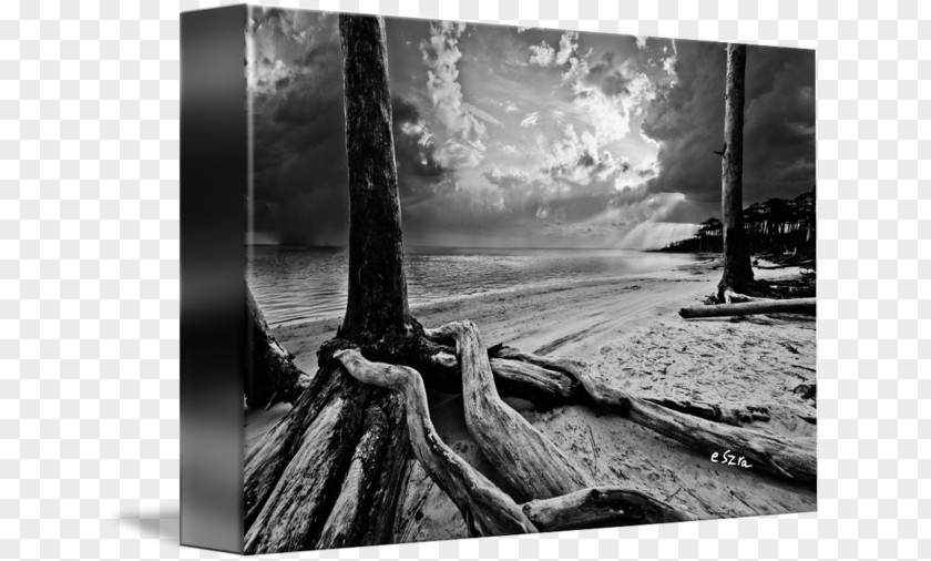 Wood Still Life Photography Picture Frames Stock PNG