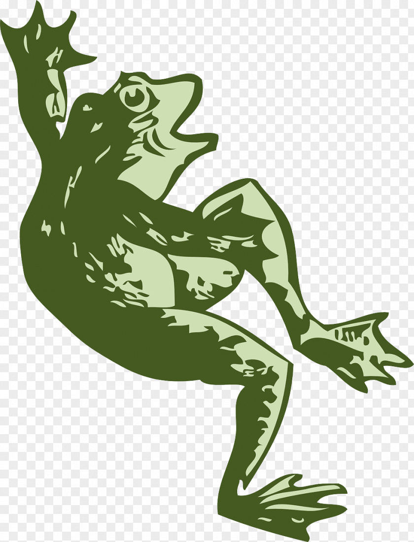 Amphibian Tree Frog Dance Clip Art PNG