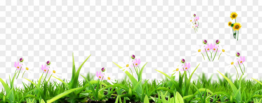 Grass Decoration Design Material Download PNG