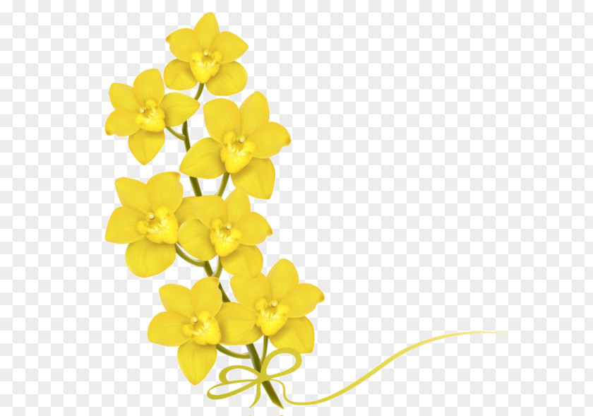 The Story Of Small Yellow Flower Clip Art PNG