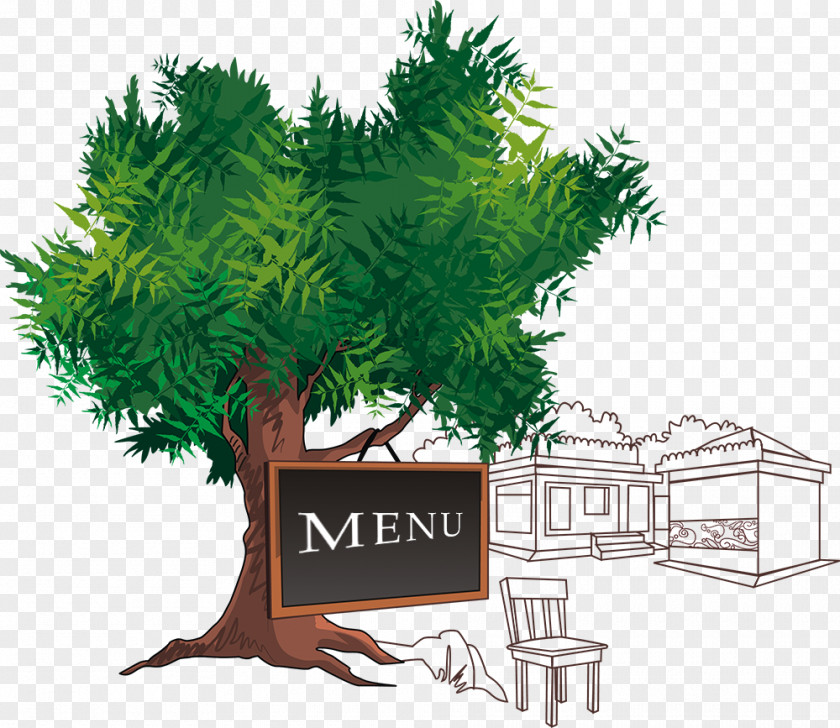 Dal Makhani Food Tree Taste Pine PNG