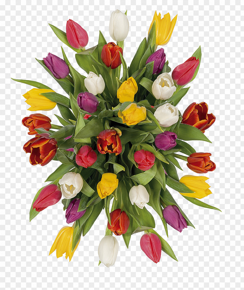 Flower Bouquet Tulip Floral Design Cut Flowers PNG