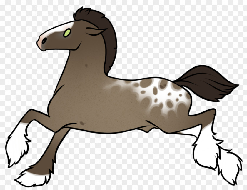 Mustang Mule Pony Foal Stallion PNG