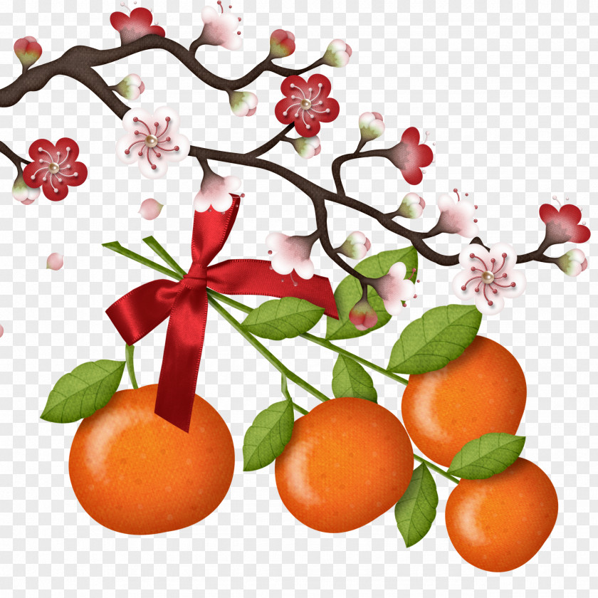 Peach And Orange Chinese New Year Happiness Reunion Dinner Fu Oudejaarsdag Van De Maankalender PNG