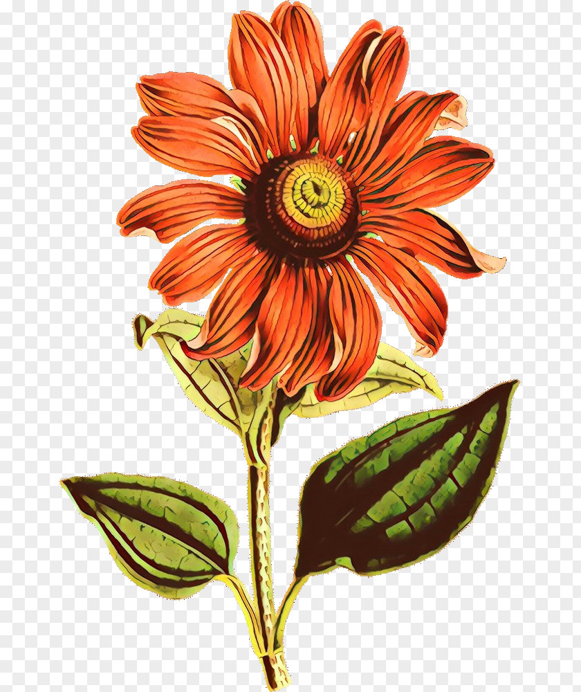 Sunflower PNG