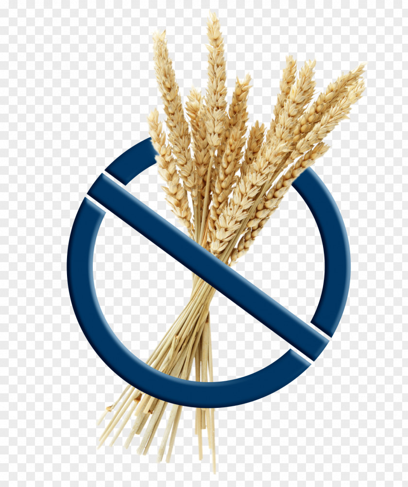 Wheat PNG