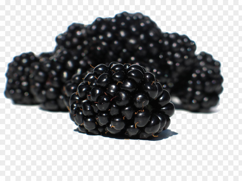 Blackberry Fruit Mulberry Meadows Computer File PNG