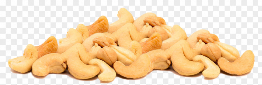 Cashew Shell Nut Industry Company NASDAQ:CNSL PNG