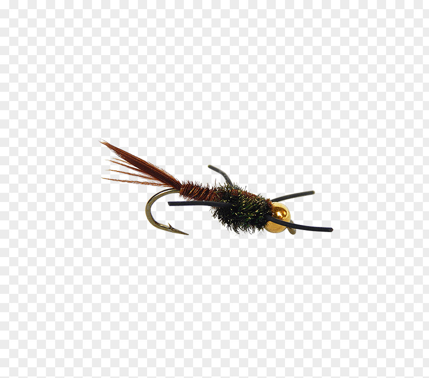 Fly Fishing Pheasant Tail Nymph Insect PNG