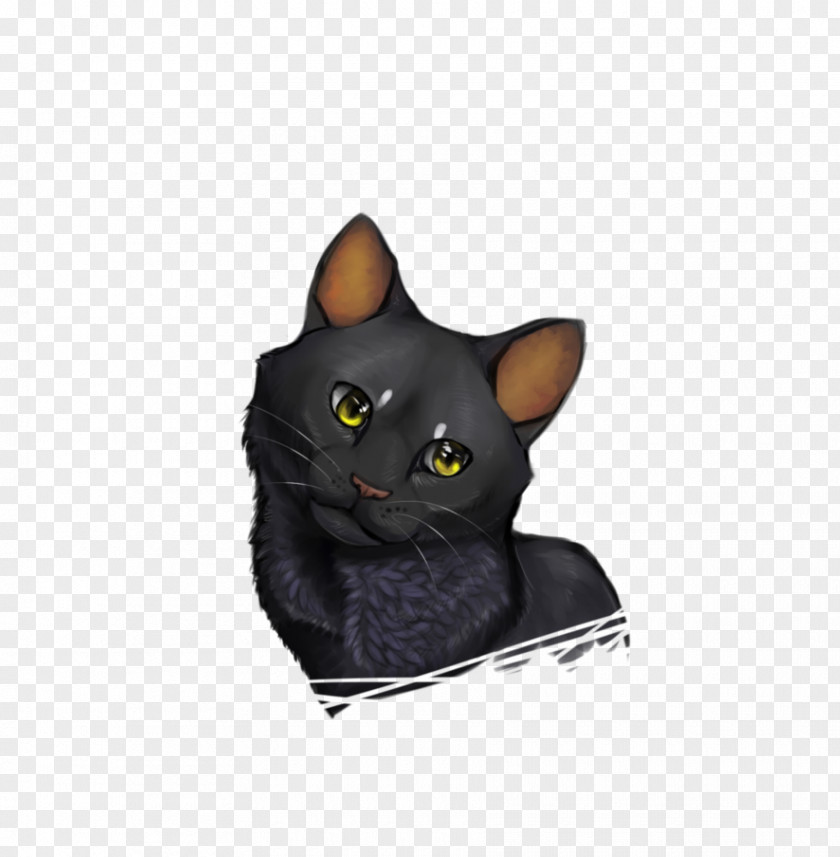 Happy Cat Korat Bombay Domestic Short-haired Whiskers Snout PNG