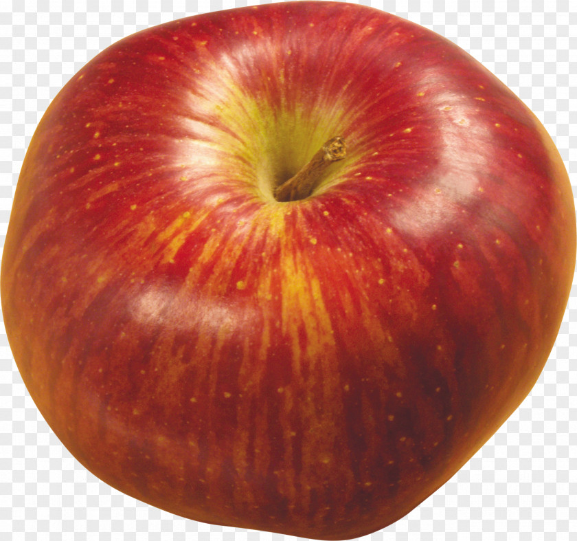 Apple Accessory Fruit Food Clip Art PNG