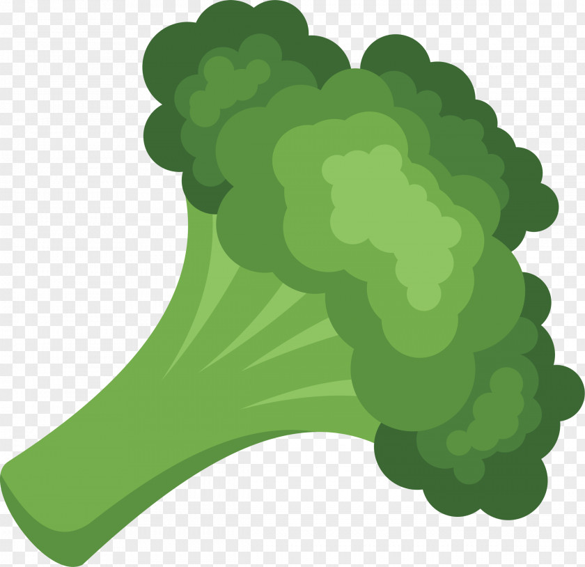 Broccoli Vegetable Broccolo Cream Of Soup Vegetarian Cuisine Vector Graphics PNG