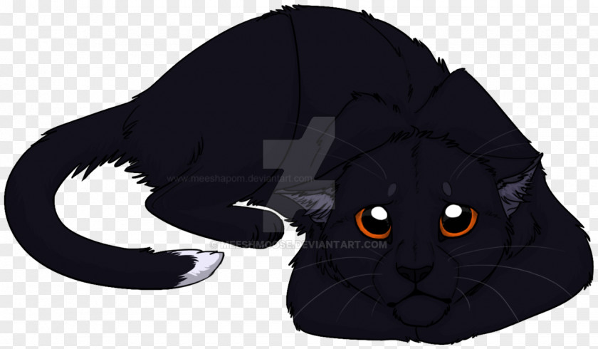 Cat Black Into The Wild Warriors Erin Hunter PNG