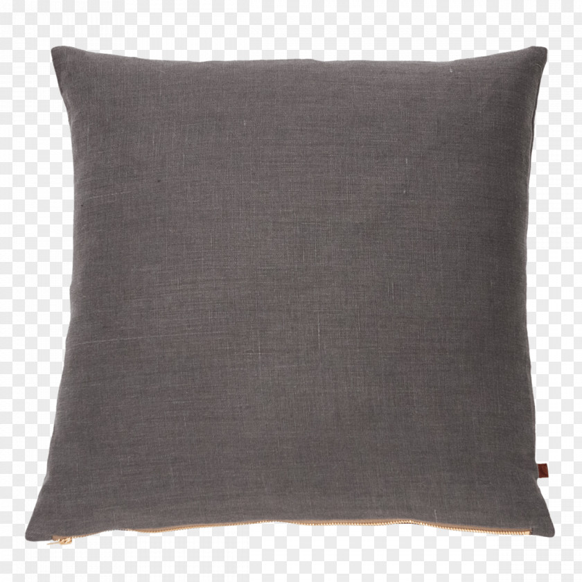 Charcoal Throw Pillows Cushion Taie Zoom Video Communications PNG