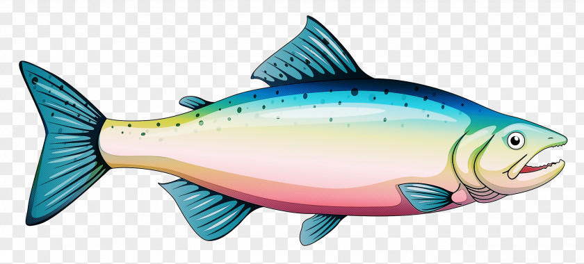 Fish Products Parrotfish Seafood PNG