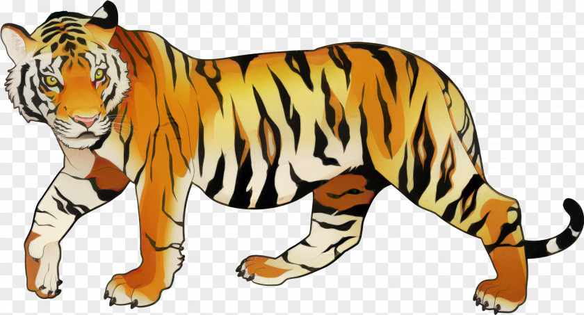 Malayan Tiger Odessa School District Felidae White Learn Animals For Kids PNG