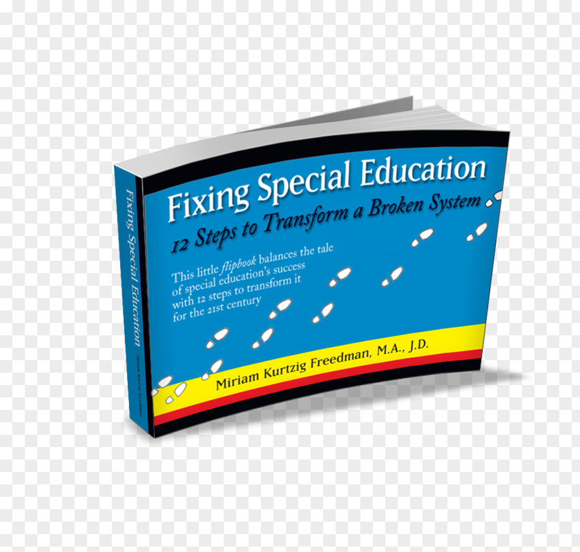 Professional Lawyer Special Education School Law Pro Needs PNG