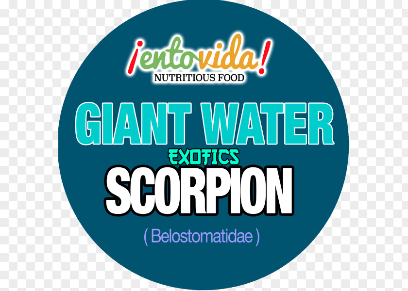 Scorpion Nepidae Logo Brand Font PNG