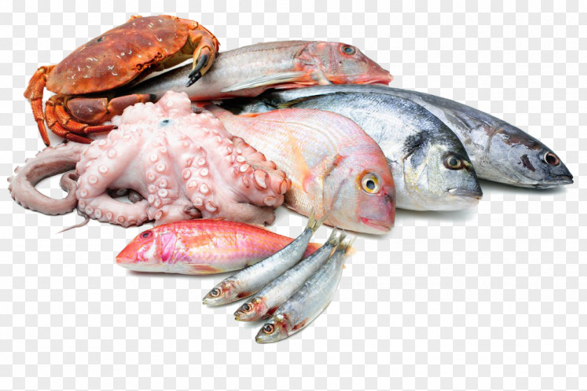 Seafood Asado Fish As Food Squid PNG
