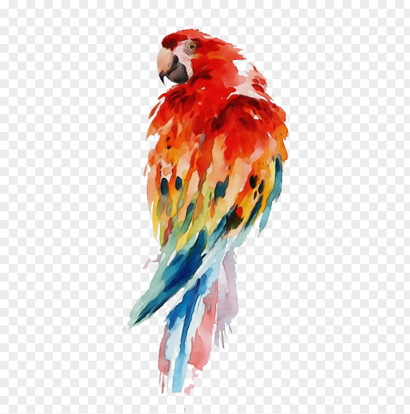 Wing Parrot Watercolor Cartoon PNG