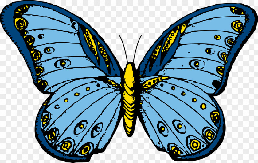 Butterfly Illustrations Free Content Clip Art PNG