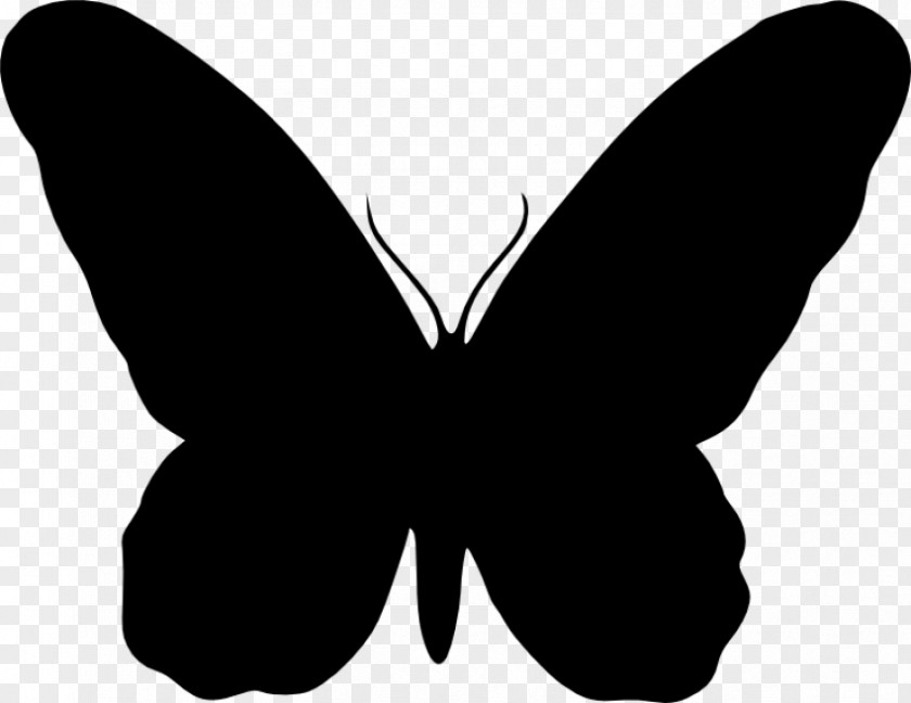 Butterfly Silhouette Download Vector Graphics Clip Art PNG