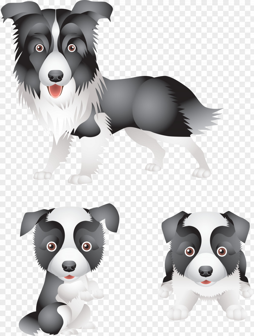 Dog Cartoon Border Collie Puppy Rough Standard Schnauzer Maltese PNG