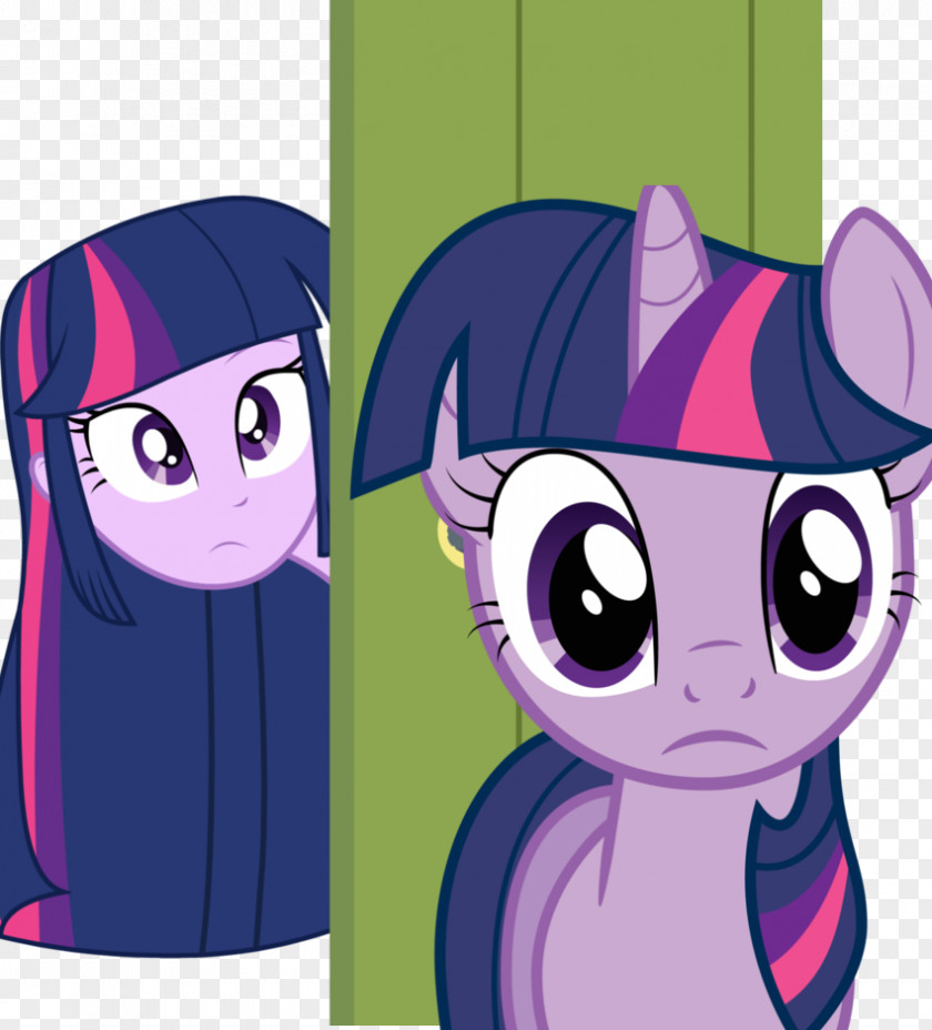 Equestria Girls Pony Twilight Sparkle Fluttershy Applejack PNG