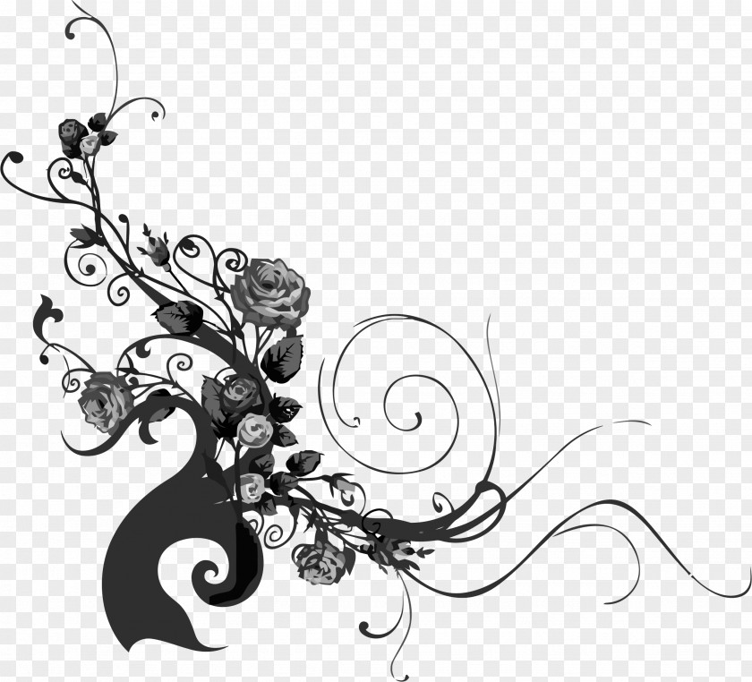 Flourish Photography Clip Art PNG