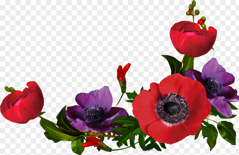 Flovers Flower Clip Art PNG