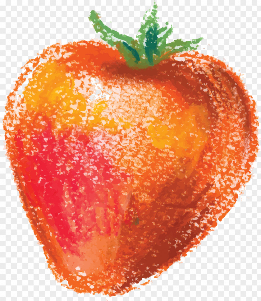 Hand-painted Strawberry Fruit Aedmaasikas Auglis PNG