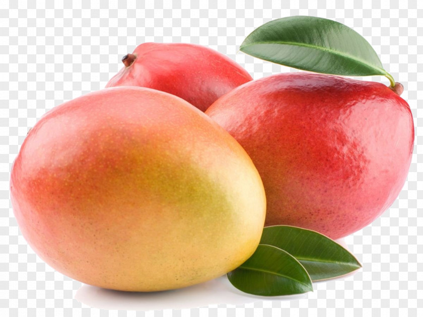 Juice Mango Fruit Alphonso Drupe PNG