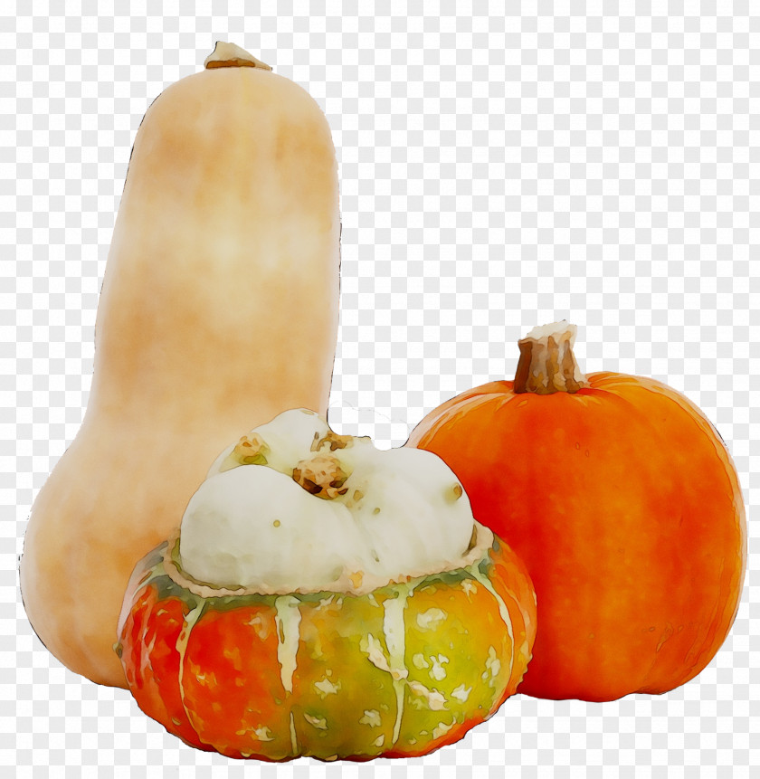 Pumpkin Gourd Calabaza Winter Squash Vegetarian Cuisine PNG