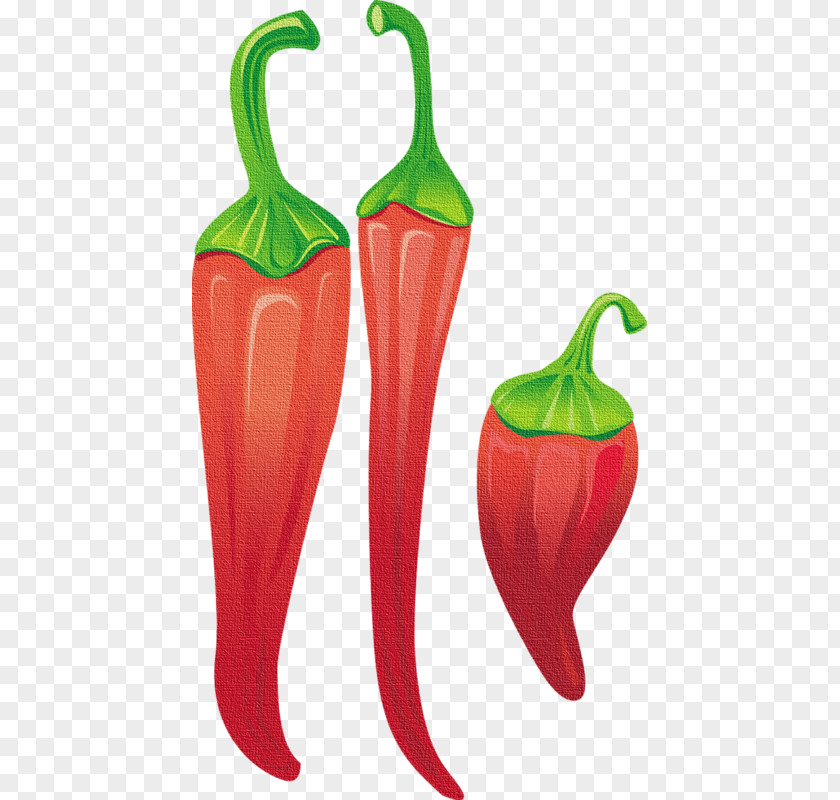 Vegetable Tabasco Pepper Serrano Capsicum Annuum Var. Acuminatum Chili Paprika PNG