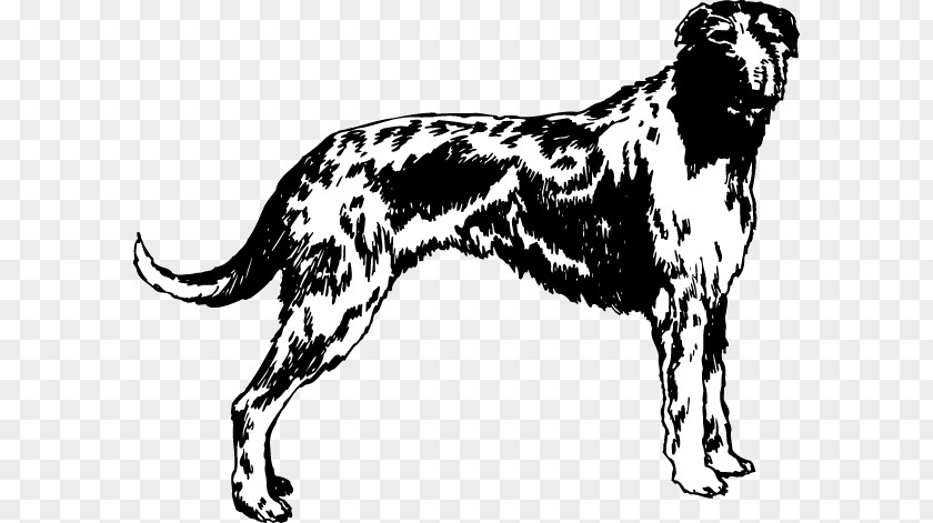 Afghan Hound Dog Breed Scottish Deerhound Sporting Group Decal PNG