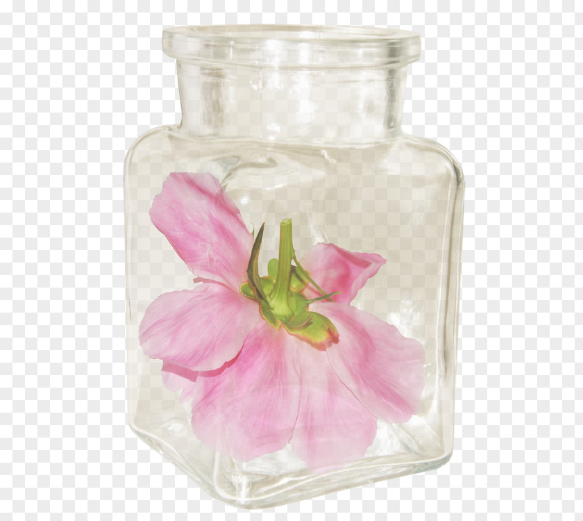 Bottle Flower Petal Peony Clip Art PNG