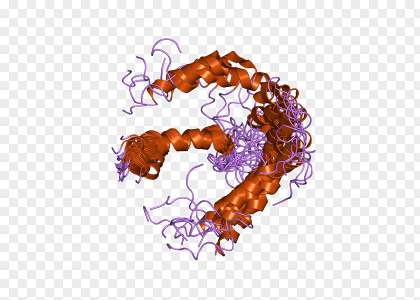 Epidermal Growth Factor Receptor Cetuximab PNG